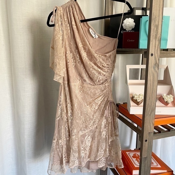 A.L.C. One Shoulder Lace Blush Dress - Picture 3 of 15